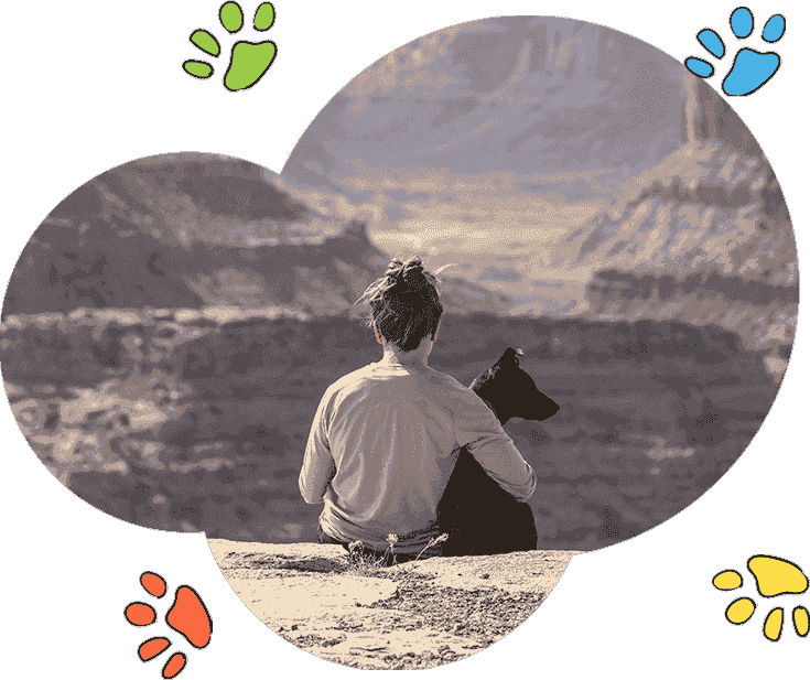 强力性能稳定的网站压力测试