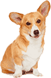 有可靠货源的DDOS在线压力测试